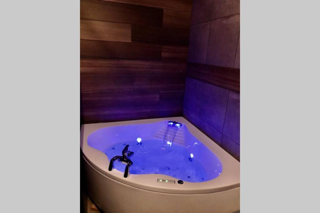 Studio Cocooning Spa, Lit Xxl, Cour Exterieure Le Puy-en-Velay 外观 照片